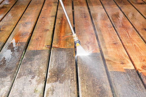 Best Soft Washing  in Saline, MI